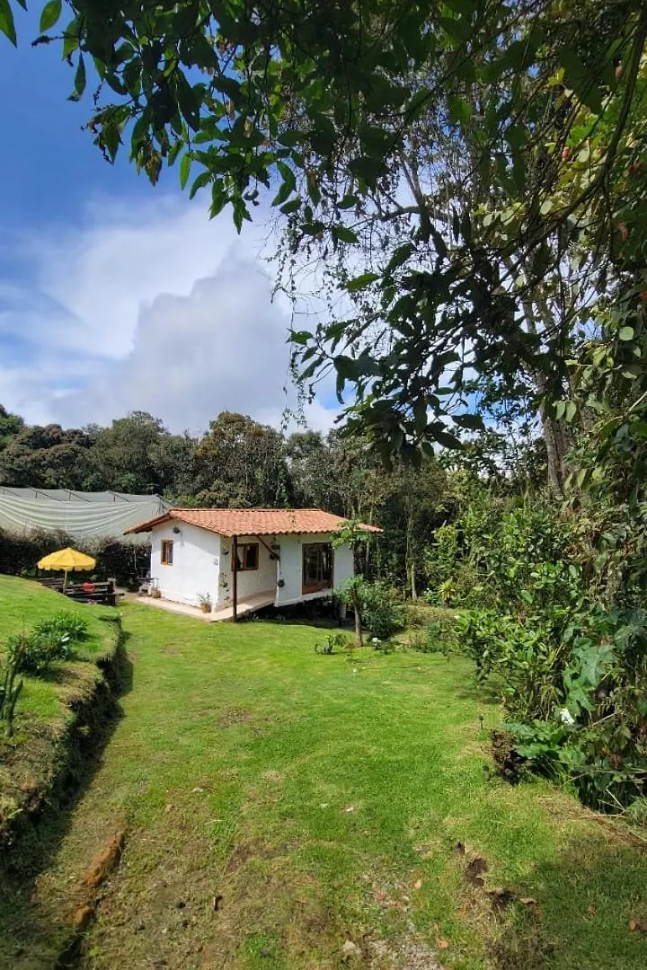 Holiday home Alto Palmas 2.0 Villa Medellin Colombia